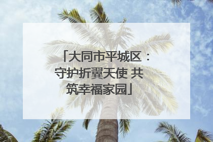大同市平城区：守护折翼天使 共筑幸福家园