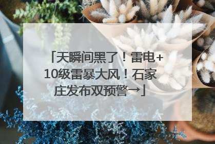 天瞬间黑了！雷电+10级雷暴大风！石家庄发布双预警→