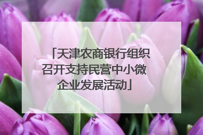 天津农商银行组织召开支持民营中小微企业发展活动