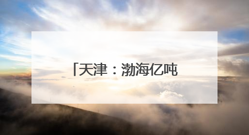 天津：渤海亿吨级油田海上平台陆地建造工作收官