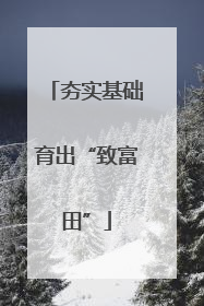 夯实基础育出“致富田”