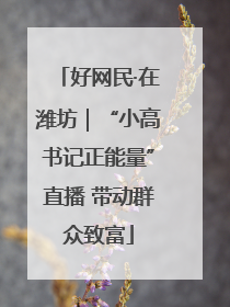 好网民·在潍坊｜“小高书记正能量”直播 带动群众致富