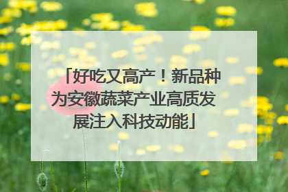 好吃又高产！新品种为安徽蔬菜产业高质发展注入科技动能