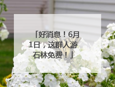 好消息！6月1日，这群人游石林免费！