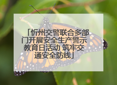 忻州交警联合多部门开展安全生产警示教育日活动 筑牢交通安全防线