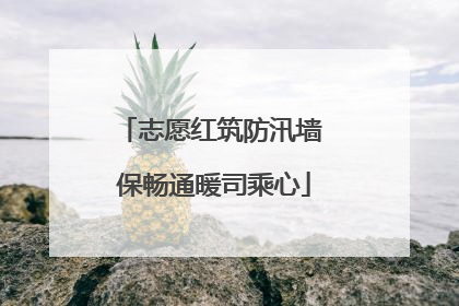 志愿红筑防汛墙 保畅通暖司乘心