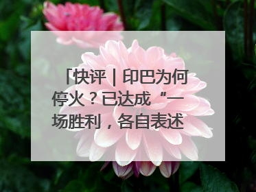 快评｜印巴为何停火？已达成“一场胜利，各自表述”的效果