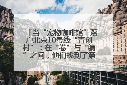 当“宠物咖啡馆”落户北京10号线“青创村”：在“卷”与“躺”之间，他们找到了第三种生活公式