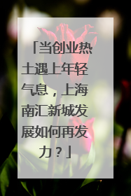 当创业热土遇上年轻气息，上海南汇新城发展如何再发力？
