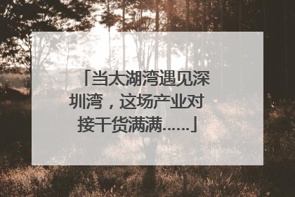 当太湖湾遇见深圳湾，这场产业对接干货满满……