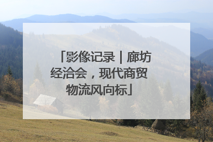 影像记录｜廊坊经洽会，现代商贸物流风向标