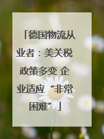 德国物流从业者：美关税政策多变 企业适应“非常困难”