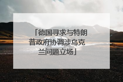 德国寻求与特朗普政府协调涉乌克兰问题立场