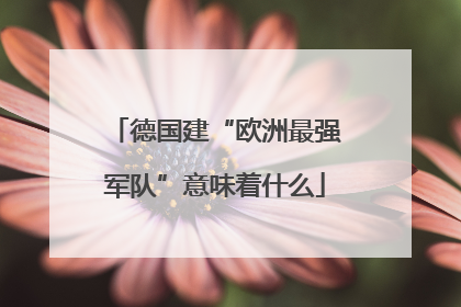 德国建“欧洲最强军队”意味着什么