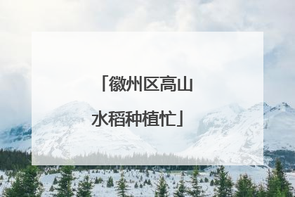 徽州区高山水稻种植忙