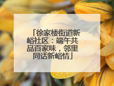 徐家楼街道新峪社区：端午共品百家味，邻里同话新峪情