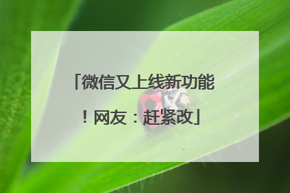 微信又上线新功能！网友：赶紧改