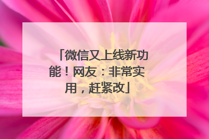 微信又上线新功能！网友：非常实用，赶紧改
