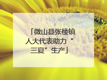 微山县张楼镇人大代表助力“三夏”生产