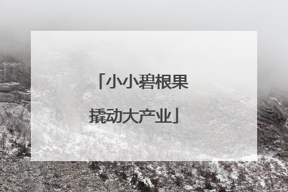 小小碧根果撬动大产业