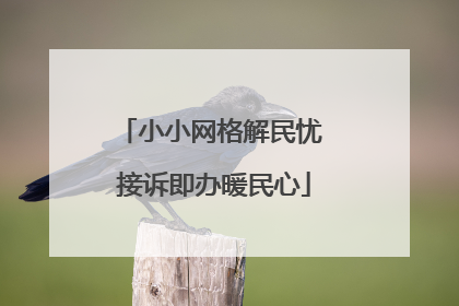 小小网格解民忧 接诉即办暖民心