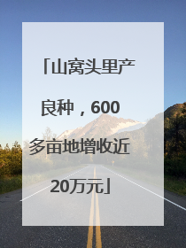 山窝头里产良种，600多亩地增收近20万元