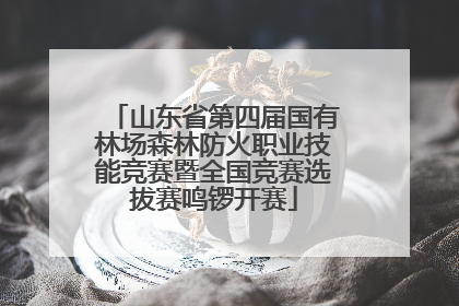 山东省第四届国有林场森林防火职业技能竞赛暨全国竞赛选拔赛鸣锣开赛