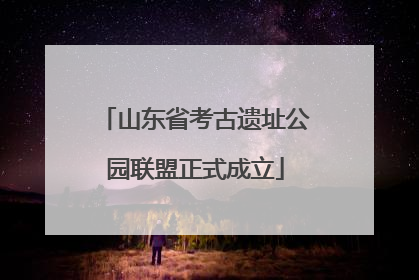 山东省考古遗址公园联盟正式成立