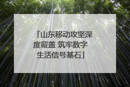 山东移动攻坚深度覆盖 筑牢数字生活信号基石
