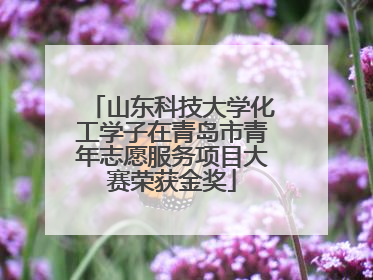 山东科技大学化工学子在青岛市青年志愿服务项目大赛荣获金奖