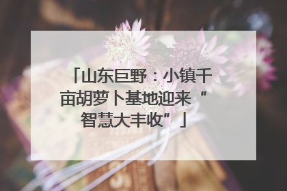 山东巨野：小镇千亩胡萝卜基地迎来“智慧大丰收”