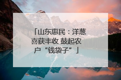 山东惠民：洋葱喜获丰收 鼓起农户“钱袋子”