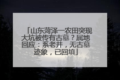 山东菏泽一农田突现大坑被传有古墓？属地回应：系老井，无古墓迹象，已回填