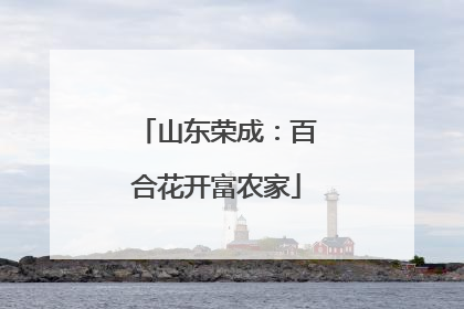 山东荣成：百合花开富农家