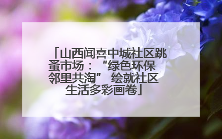 山西闻喜中城社区跳蚤市场：“绿色环保 邻里共淘” 绘就社区生活多彩画卷