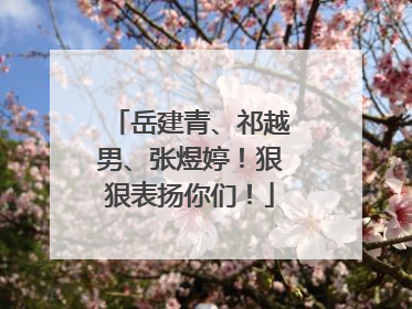 岳建青、祁越男、张煜婷！狠狠表扬你们！