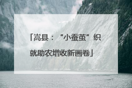 嵩县：“小蚕茧”织就助农增收新画卷