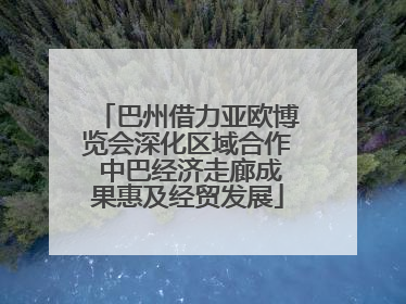 巴州借力亚欧博览会深化区域合作 中巴经济走廊成果惠及经贸发展