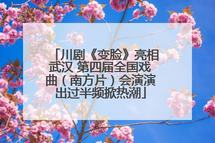 川剧《变脸》亮相武汉 第四届全国戏曲（南方片）会演演出过半频掀热潮