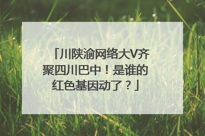 川陕渝网络大V齐聚四川巴中！是谁的红色基因动了？