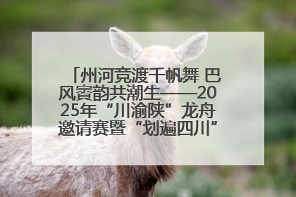 州河竞渡千帆舞 巴风賨韵共潮生——2025年“川渝陕”龙舟邀请赛暨“划遍四川”达川站圆满收官