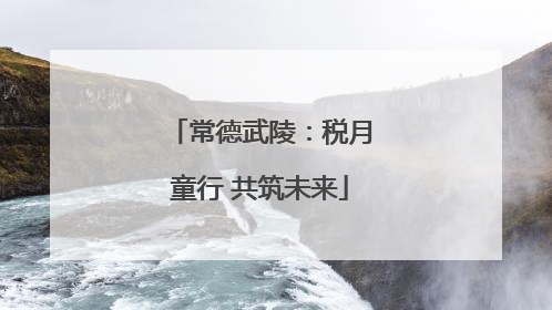 常德武陵：税月童行 共筑未来