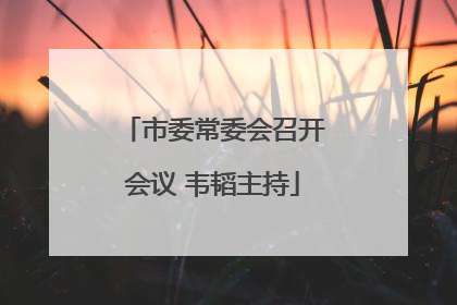 市委常委会召开会议 韦韬主持