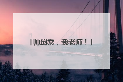 帅蜀黍，我老师！