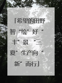 希望的田野智“绘”好“丰”景 “三夏”生产向“新”而行