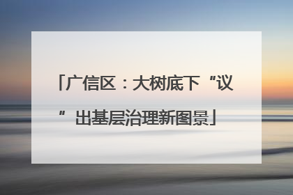 广信区：大树底下“议”出基层治理新图景