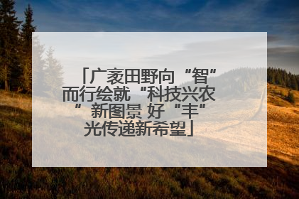 广袤田野向“智”而行绘就“科技兴农”新图景 好“丰”光传递新希望