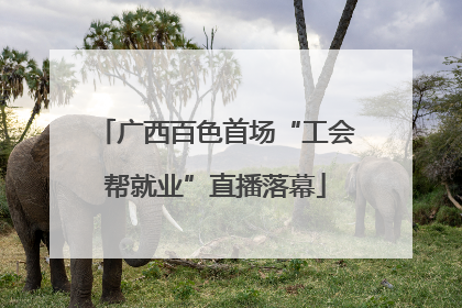 广西百色首场“工会帮就业”直播落幕