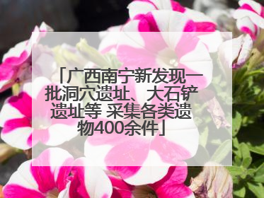 广西南宁新发现一批洞穴遗址、大石铲遗址等 采集各类遗物400余件