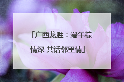 广西龙胜：端午粽情深 共话邻里情
